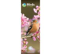 RSPB Birds 2027 Slim Wall Calendar