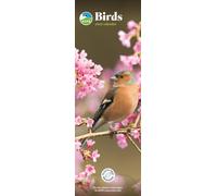 RSPB Birds (PFP) Slim