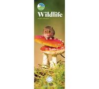 RSPB British Wildlife 2026 Slim Wall Calendar