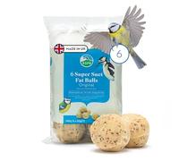 RSPB - Fat Balls for Birds, High Energy Suet Balls, Made in the UK, Delicious and Nutritious Bird Food, Suitable for Year-Round Feeding (6 Pack)