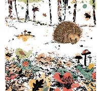 RSPB Field & Forest Card - Hedgehog