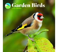 RSPB Garden Birds 2027 Wall Calendar