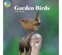 Carousel Worldwide, Garden Birds 2026 Square Wall Calendar