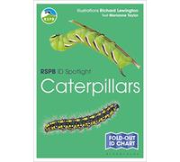 RSPB ID Spotlight - Caterpillars: (RSPB)