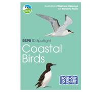 RSPB ID Spotlight - Coastal Birds