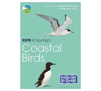 RSPB ID Spotlight - Coastal Birds