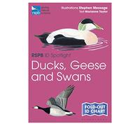 RSPB ID Spotlight - Ducks, Geese and Swans - Stephen Message Book
