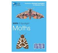 Taylor & Marianne – RSPB ID Spotlight - Moths – Fold-out ID Chart