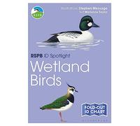 RSPB ID Spotlight - Wetland Birds