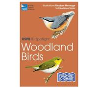 RSPB ID Spotlight - Woodland Birds