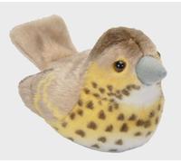 RSPB II Birds - Thrush