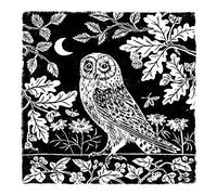 RSPB Natures Print Card - Owl & Moon