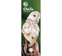 RSPB, Owls Slim Calendar 2026