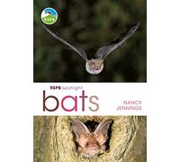RSPB Spotlight Bats