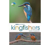 RSPB Spotlight Kingfishers