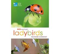RSPB Spotlight Ladybirds