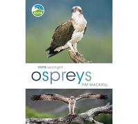 RSPB Spotlight Ospreys