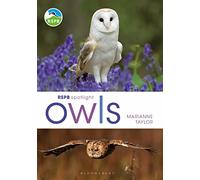 RSPB Spotlight Owls