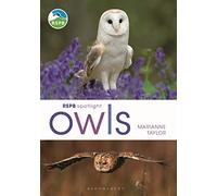 RSPB Spotlight Owls