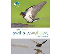 RSPB Spotlight Swifts and Swallows