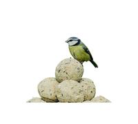 RSPB - Fat Balls for Wild Birds, High Energy Suet Balls, Made in the UK, Delicious and Nutritious Bird Food, Suitable for Year-Round Feeding (Box of 50)