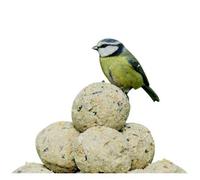 Rspb Super Suet Balls Bird Food (Pack Of 50) May Vary (One Size)