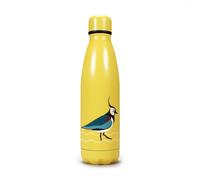 RSPB Water Bottle Metal (500ml) - (Water Birds) RSPB Multicolor