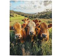 Rstick 60"x80" Cow Herd Blanket - Soft Cozy Fleece Throw, Pasture Scene Design for Couch, Bed & Sofa
