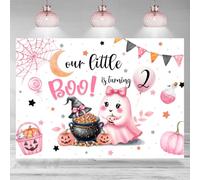 Rsuuinu Halloween 2nd Birthday Backdrop for Girls Our Little Boo is Turning Two Pink Ghost Background for Photography 7x5ft Halloween Second Birthday Party Decorations Favors Banner