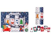 RSW International Childrens Cartoon Mini Christmas Crackers Blue & White Santa & Friends Family Plastic Free