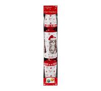 RSW International Ltd Christmas Cracker for Cats