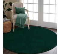 RTBQJ-AT Round Rug, Area Rugs Living Room Soft Microfiber Washable Rugs for Bedroom, Modern Carpet Fluffy Shaggy Green Rug, 120cm