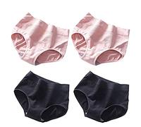 RTcald 4 Pcs 3D Butt Lift Breathable Panties,Tummy Control Butt Lifter Panties,Middle Waist Panties,Women Seamless Butt Lifter Shorts (E)