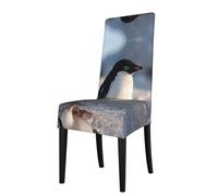 RTCVXZDSA Penguins On The Ice Dining Chair Protector â€“ Stretchable All-Over Print Design, Fits Most Armless Chairs (Back Height 18-22")