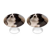 RTFGHJS 2 Pack Border Collie Cabinet Knobs Round Drawer Pulls Stainless Steel Dresser Knob Cupboard Metal Door Handles Hardware for Drawers Kitchen Bathroom Cabinets