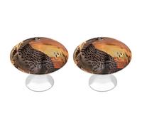 RTFGHJS 2 Pack Cheetah Looking Out Over Savanna with Sunset Cabinet Knobs Round Drawer Pulls Stainless Steel Dresser Knob Cupboard Metal Door Handles Hardware for Drawers Kitchen Bathroom Cabinets