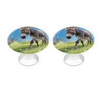 RTFGHJS 2 Pack Donkey & Butterflies (Rainbow) Cabinet Knobs Round Drawer Pulls Stainless Steel Dresser Knob Cupboard Metal Door Handles Hardware for Drawers Kitchen Bathroom Cabinets