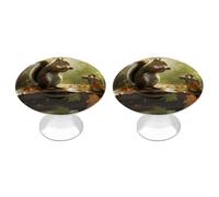 RTFGHJS 2 Pack Squirrel Eats Nuts Cabinet Knobs Round Drawer Pulls Stainless Steel Dresser Knob Cupboard Metal Door Handles Hardware for Drawers Kitchen Bathroom Cabinets
