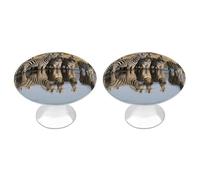 RTFGHJS 2 Pack Zebra Cabinet Knobs Round Drawer Pulls Stainless Steel Dresser Knob Cupboard Metal Door Handles Hardware for Drawers Kitchen Bathroom Cabinets