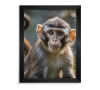 RTFGHJS Big Eyed Monkey Diamond Painting Kit - DIY Canvas Art Decor with Drill Pen, Tray & Wax, Waterproof Sparkling Wall Craft for Home Decor, Birthdays, Christmas Blackwood 40 * 50cm