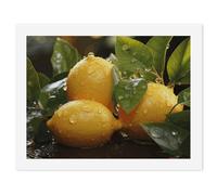 RTFGHJS Digital Oil Painting DIY Set Fresh Lemon Painting Kit for Adults Beginners 24-Color Paints Digital Oil DIY Art Set Modern Gallery Prints for Home Decoration 30x40cm