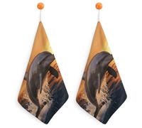 RTFGHJS Dusk Dolphin Hand Towels Ultra Absorbent Quick Dry Face & Gym Towels Decorative Kitchen Cloth Microfiber Dish Towel for Bathroom, Kitchen, Yoga with Hanging Loops 2PCS