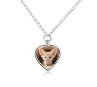 RTFGHJS Fennec Fox Cub in Den Urn Necklace for Ashes Personalized Cremation Jewelry Heart Pendant Keepsake Jewelry for Dog Cat Sympathy Gift for Pets Lovers
