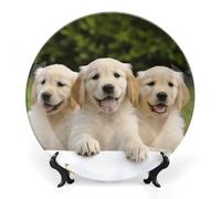 RTFGHJS Golden Retriever Puppies Decorative Ceramic Plate Personalized Bone China Decorative Plate Round Porcelain Plates with Display Stand Cabinet Display Plates for Home Decor 8inch