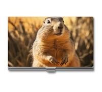 RTFGHJS Hand Drawn Groundhog Business Card Holder, Metal Slim Name Card Case, Pocket Cards Holder for Women Or Men, Name Cards Booklet for Professionals, Executives