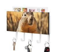 RTFGHJS Hand Drawn Groundhog Key Holder for Wall with 5 Hooks Decorative Key Holder Wall Mount, Keys Hooks Coat Rack Wall Decor, Perfect for Bathroom, Living Room, Kitchen, Housewarming Gift