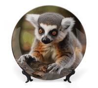 RTFGHJS Monkey Lemur Cute Decorative Ceramic Plate Personalized Bone China Decorative Plate Round Porcelain Plates with Display Stand Cabinet Display Plates for Home Decor 10inch
