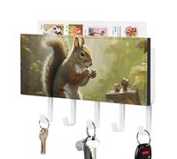 RTFGHJS Squirrel Eats Nuts Key Holder for Wall with 5 Hooks Decorative Key Holder Wall Mount, Keys Hooks Coat Rack Wall Decor, Perfect for Bathroom, Living Room, Kitchen, Housewarming Gift