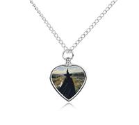 RTFGHJS The Witch of Darkness Urn Necklace for Ashes Personalized Cremation Jewelry Heart Pendant Keepsake Jewelry for Dog Cat Sympathy Gift for Pets Lovers