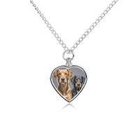 RTFGHJS Two Different Dogs Urn Necklace for Ashes Personalized Cremation Jewelry Heart Pendant Keepsake Jewelry for Dog Cat Sympathy Gift for Pets Lovers
